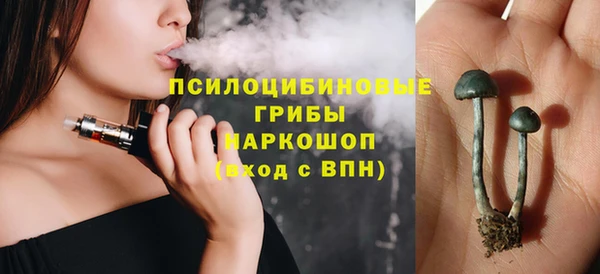 гашик Балахна