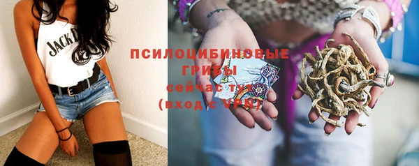 гашик Балахна