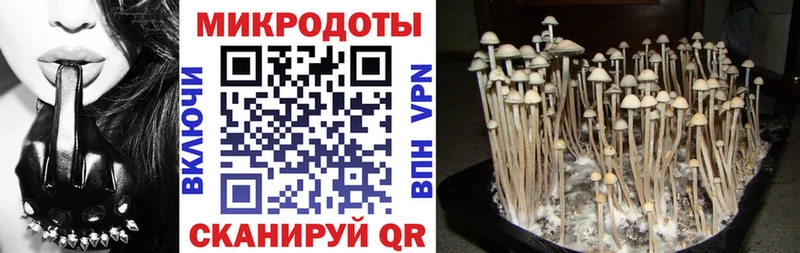 Галлюциногенные грибы прущие грибы  Ликино-Дулёво 
